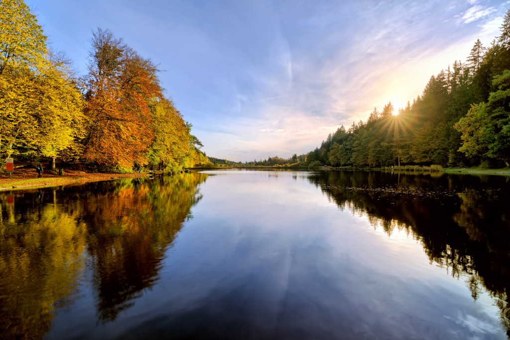 Sunset on Lake in Autumn Forest